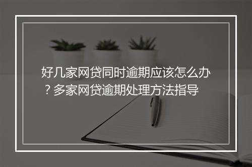 好几家网贷同时逾期应该怎么办？多家网贷逾期处理方法指导
