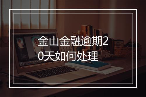 金山金融逾期20天如何处理