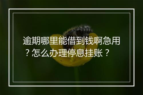 逾期哪里能借到钱啊急用？怎么办理停息挂账？