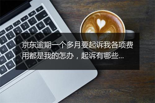 京东逾期一个多月要起诉我各项费用都是我的怎办，起诉有哪些影响