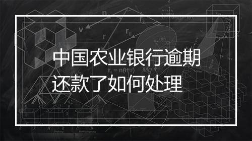 中国农业银行逾期还款了如何处理