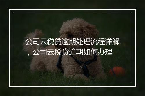 公司云税贷逾期处理流程详解，公司云税贷逾期如何办理