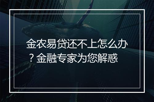 金农易贷还不上怎么办？金融专家为您解惑