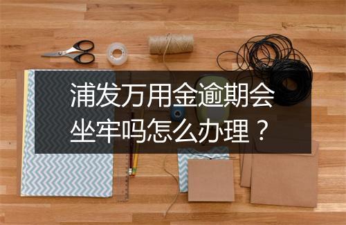 浦发万用金逾期会坐牢吗怎么办理？