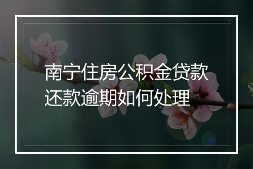 南宁住房公积金贷款还款逾期如何处理