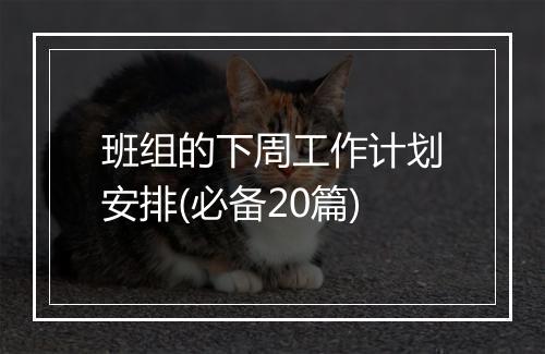 班组的下周工作计划安排(必备20篇)