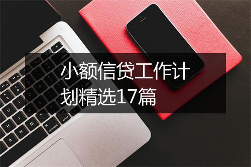 小额信贷工作计划精选17篇