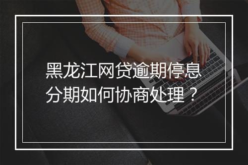 黑龙江网贷逾期停息分期如何协商处理？