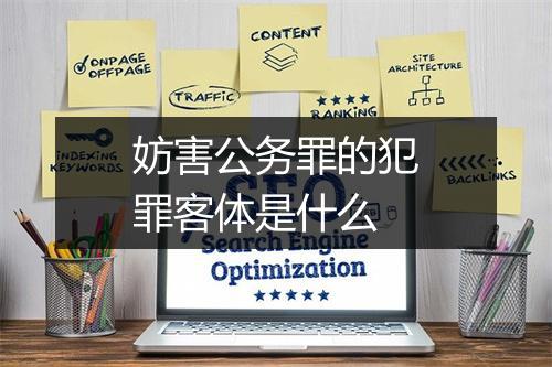 妨害公务罪的犯罪客体是什么