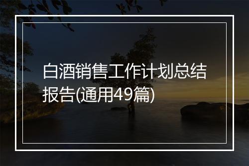 白酒销售工作计划总结报告(通用49篇)