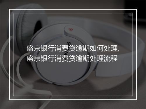 盛京银行消费贷逾期如何处理,盛京银行消费贷逾期处理流程