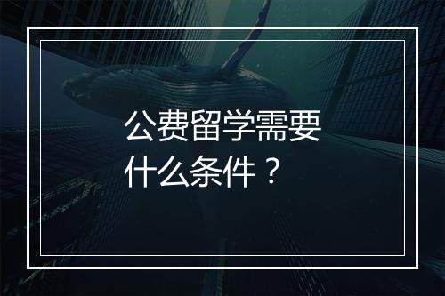 公费留学需要什么条件？
