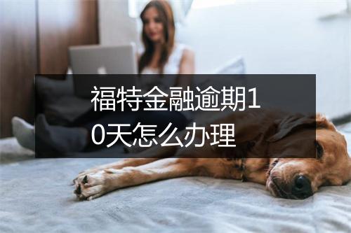福特金融逾期10天怎么办理