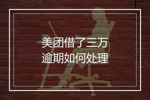 美团借了三万逾期如何处理