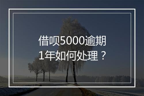 借呗5000逾期1年如何处理？