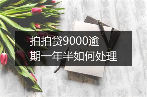 拍拍贷9000逾期一年半如何处理