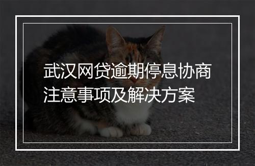武汉网贷逾期停息协商注意事项及解决方案