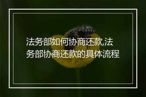 法务部如何协商还款,法务部协商还款的具体流程