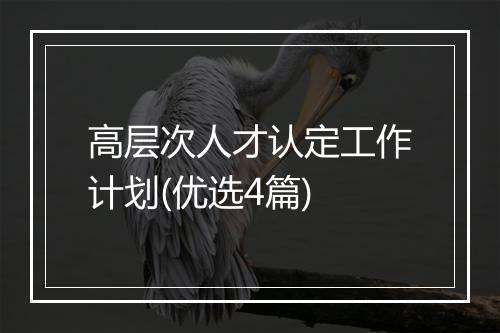 高层次人才认定工作计划(优选4篇)