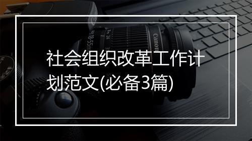 社会组织改革工作计划范文(必备3篇)