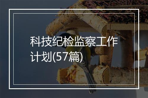 科技纪检监察工作计划(57篇)