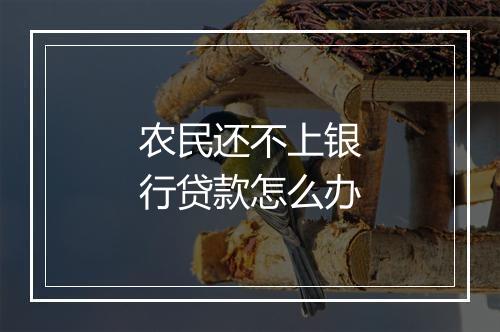 农民还不上银行贷款怎么办