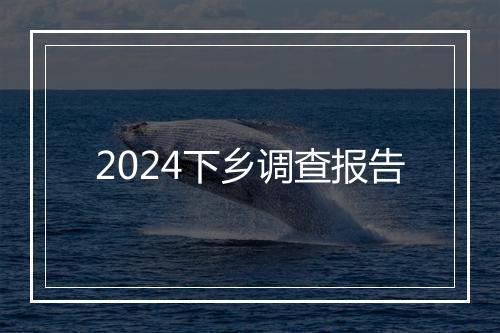 2024下乡调查报告