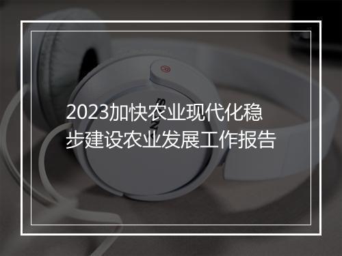 2023加快农业现代化稳步建设农业发展工作报告