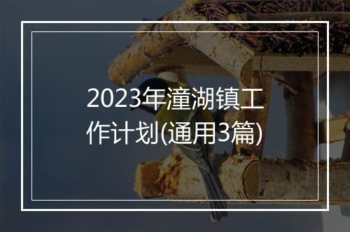 2023年潼湖镇工作计划(通用3篇)