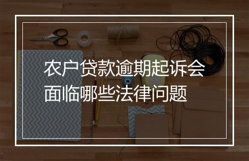 农户贷款逾期起诉会面临哪些法律问题