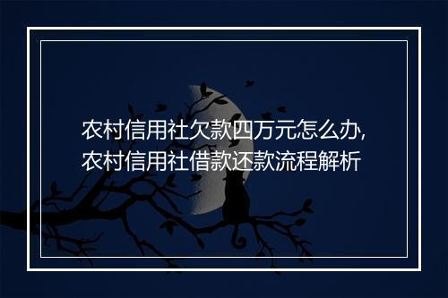 农村信用社欠款四万元怎么办,农村信用社借款还款流程解析
