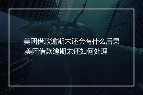 美团借款逾期未还会有什么后果,美团借款逾期未还如何处理