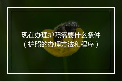 现在办理护照需要什么条件（护照的办理方法和程序）