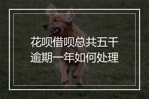 花呗借呗总共五千逾期一年如何处理