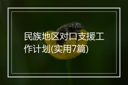 民族地区对口支援工作计划(实用7篇)