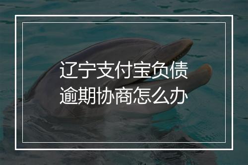 辽宁支付宝负债逾期协商怎么办
