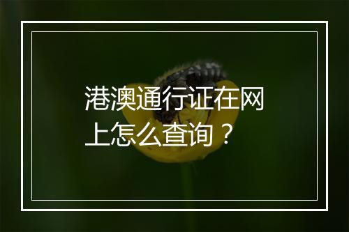 港澳通行证在网上怎么查询？