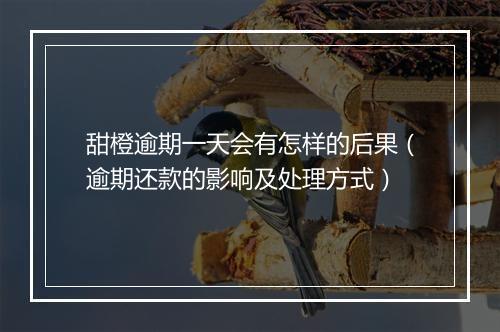 甜橙逾期一天会有怎样的后果（逾期还款的影响及处理方式）