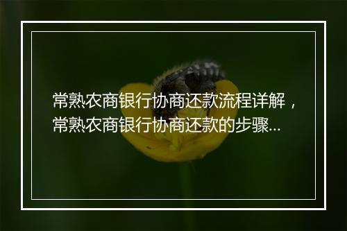 常熟农商银行协商还款流程详解，常熟农商银行协商还款的步骤和要求