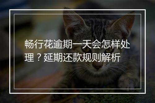 畅行花逾期一天会怎样处理？延期还款规则解析