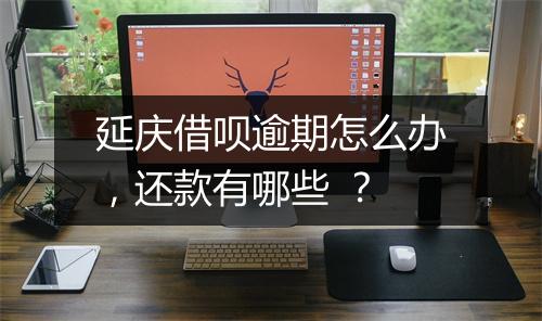 延庆借呗逾期怎么办，还款有哪些 ？