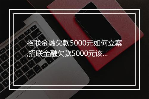 招联金融欠款5000元如何立案,招联金融欠款5000元该怎么处理