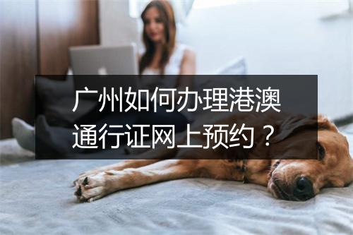 广州如何办理港澳通行证网上预约？