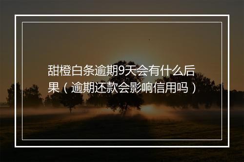 甜橙白条逾期9天会有什么后果（逾期还款会影响信用吗）