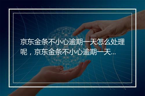 京东金条不小心逾期一天怎么处理呢，京东金条不小心逾期一天怎么处理