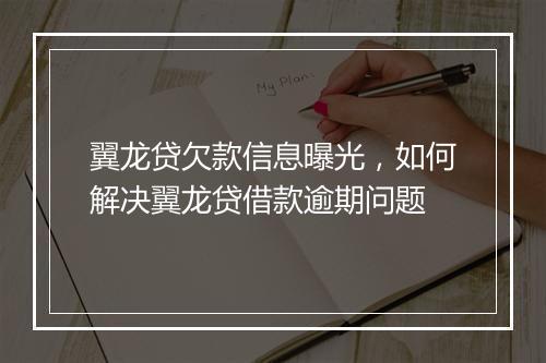 翼龙贷欠款信息曝光，如何解决翼龙贷借款逾期问题