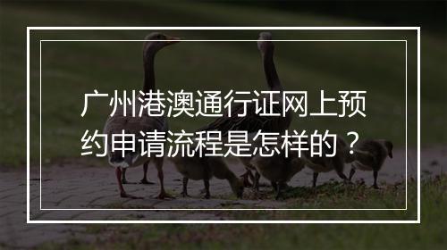 广州港澳通行证网上预约申请流程是怎样的？