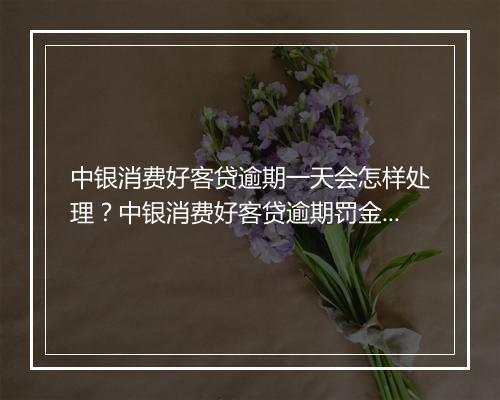 中银消费好客贷逾期一天会怎样处理？中银消费好客贷逾期罚金标准