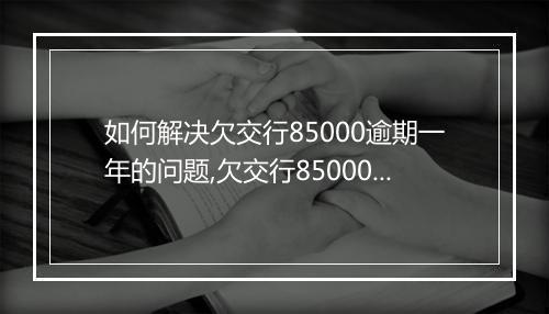 如何解决欠交行85000逾期一年的问题,欠交行85000逾期一年后果如何