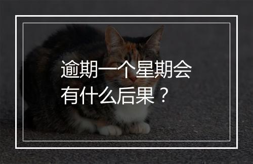 逾期一个星期会有什么后果？